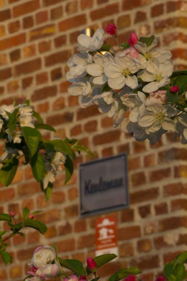 't Gillebroek Villa Borgloon Buitenkant foto